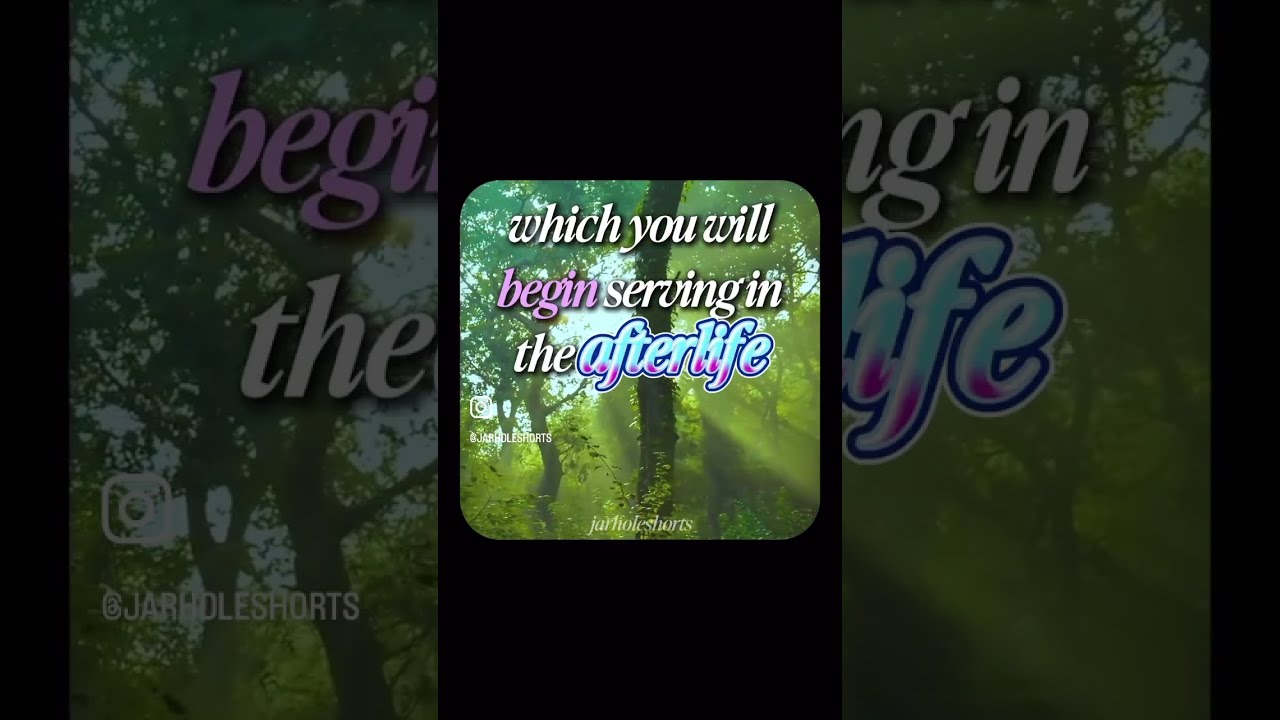 What Did Bro Do Repost Funny Shortvideo