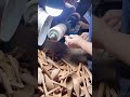 process of making wooden spoons#shorts