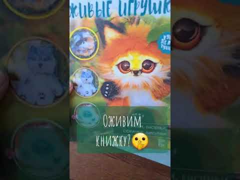 Пискунова Катерина о книге «Живые игрушки. Котики, енотики, собачки, лисички»