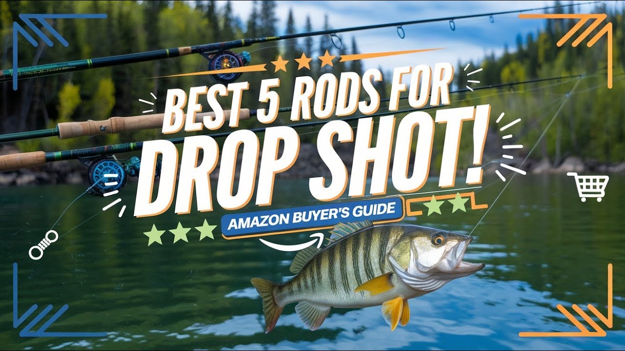 Drop Shot Specific Rods Top 5: Best Rod For Drop Shot Fishing In 2025 🎣 [ Amazon Buyer’s Guide ...