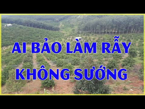 đi học kinh nghiệm trồng sầu riêng phát hiện chủ rẫy có nhiều đất rẫy cần bán phân lô thổ cư ok đi học kinh nghiệm trồng sầu riêng phát hiện chủ rẫy có nhiều đất rẫy cần bán phân lô thổ cư ok