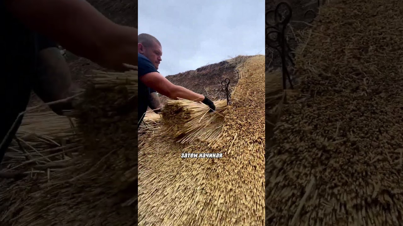 почему британцы любят соломенную крышу