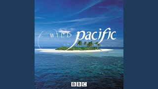 Journey Through Paradise