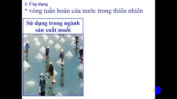 Video Bài 38 sự chuyển thể