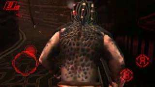 AVP: Evolution Test