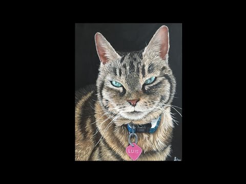 Video: Come Dipingere Una Faccia Come Un Gatto