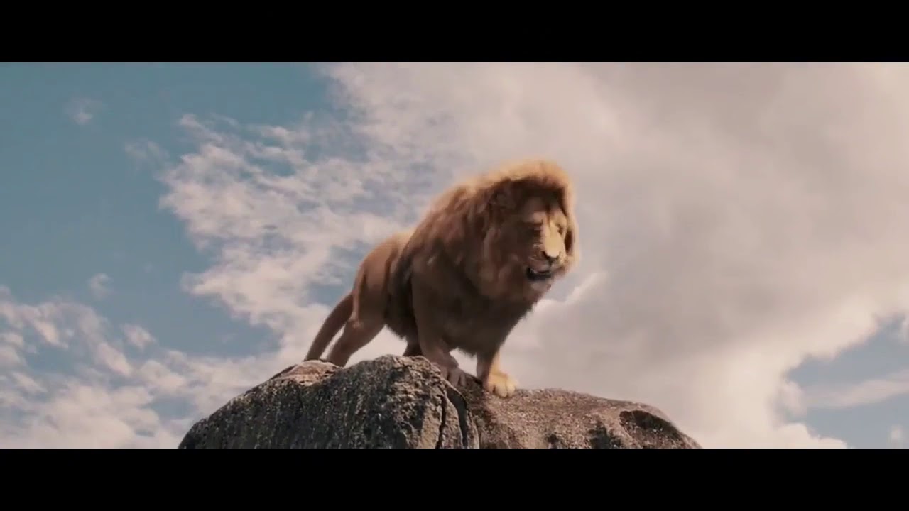 download lion king at the fox 2022 download lion king at the fox 2022