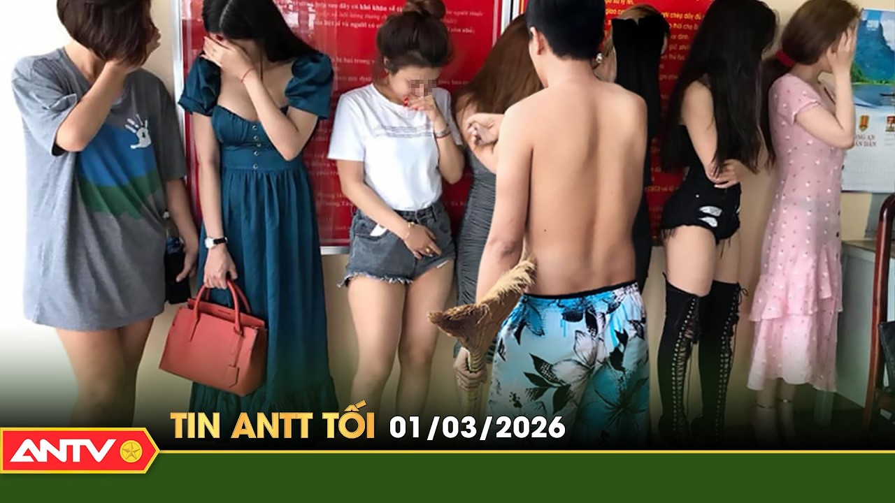 Tin tức an ninh trật tự nóng, thời sự Việt Nam mới nhất 24h tối ngày 1/3 | ANTV