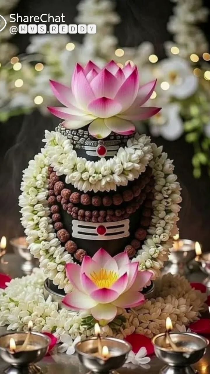 😇My Status - ShareChat