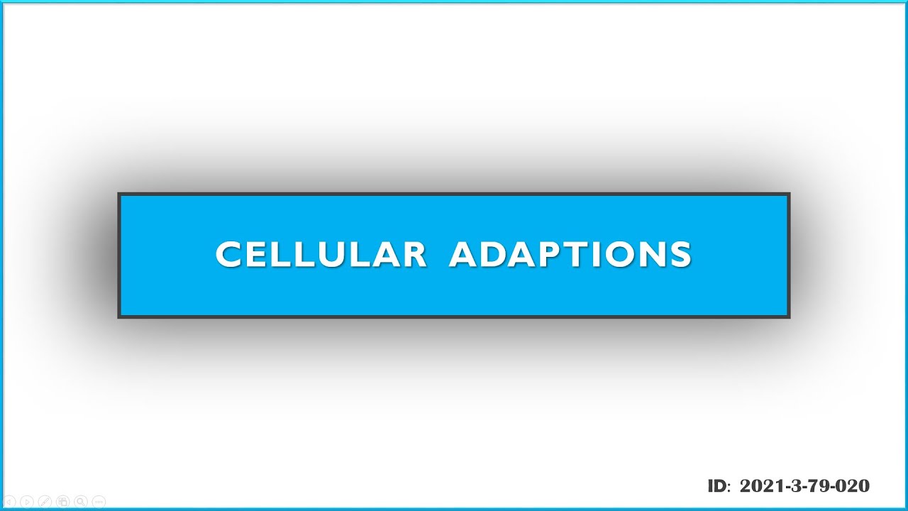 Cellular Adaptation - YouTube