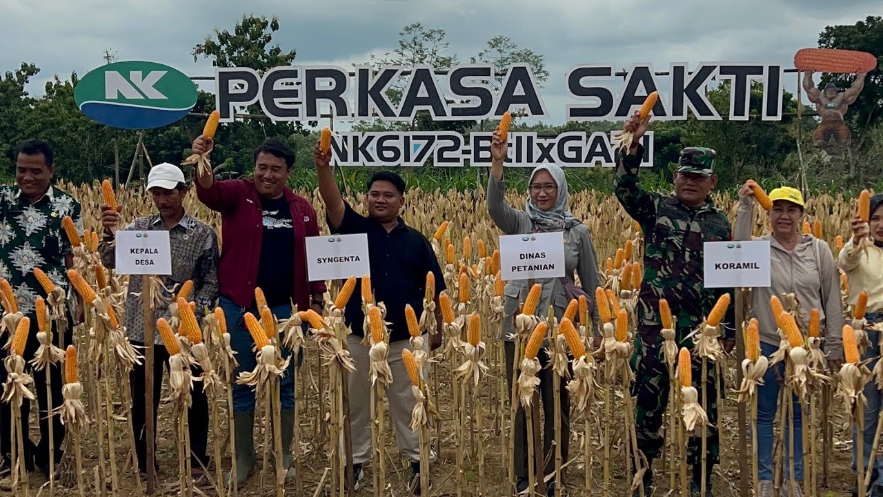 GROGI BLANK PANIK ATTAC TIBA TIBA SURUH NAIK PANGGUNG DEPAN PAK CAMAT PAK BABINSA PAK PAK TANI
