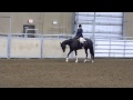 SPP Sir Cool Ur Hot, 2009 black tobiano gelding, 16.2h