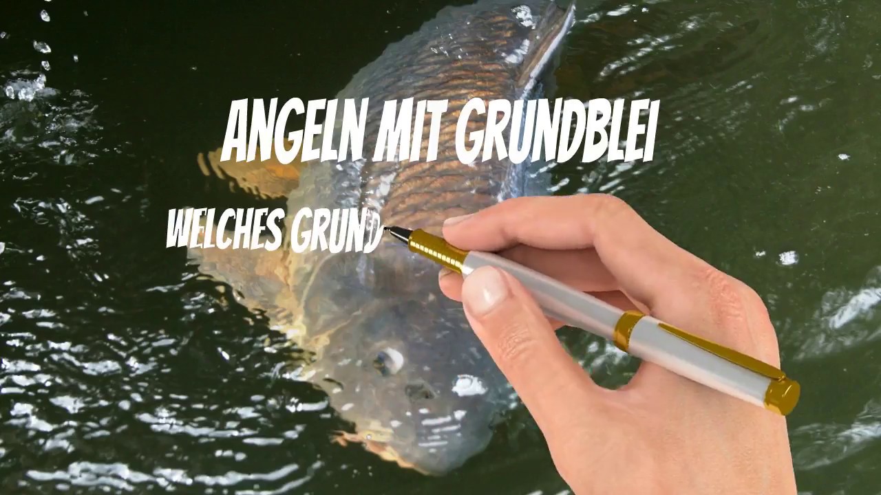5x B.Richi Big Boy Inline Blei Schnellwechsel 120-400g Karpfenblei Grundblei