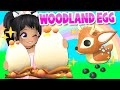 *WOODLAND EGG* REVEALED *ADOPT ME UPDATE* (roblox) News Tea