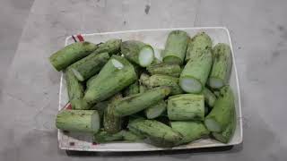 Turi Quora Vegetable So Much Benefits for Parrots