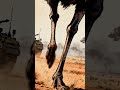 Emu War: Nature's Epic Victory Over a Human Army
