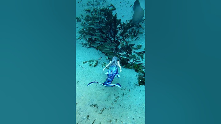 I think i saw a beautiful Mermaid 🧜‍♀️ out there