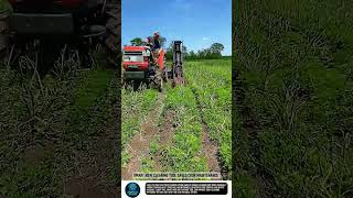Smart Row Cleaning tool Saves Crop Maintenance #tools