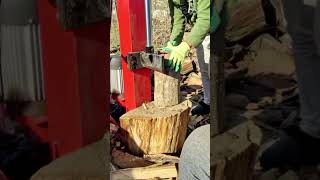 Vertical Log Splitter