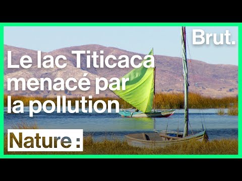 Vidéo: Où est le lac titicaca ?