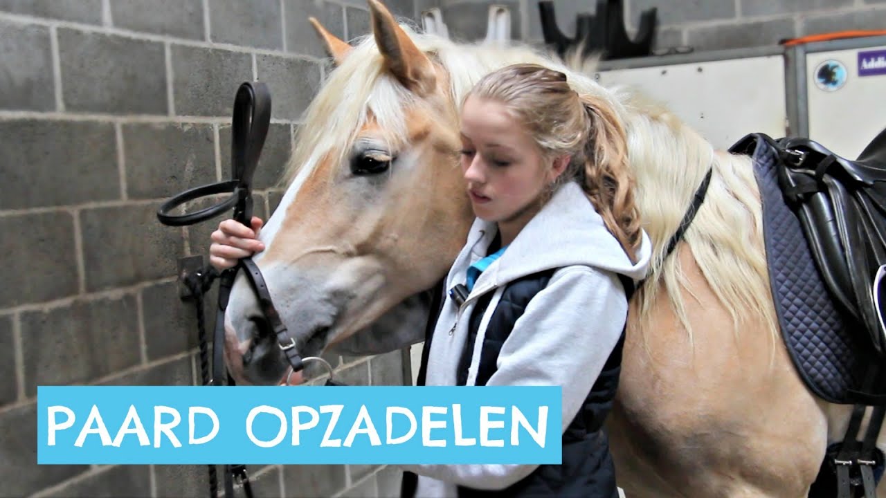 Hoe zadel je een paard op? YouTube