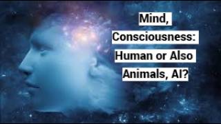 Mind, Consciousness: Human or Also Animals, AI?