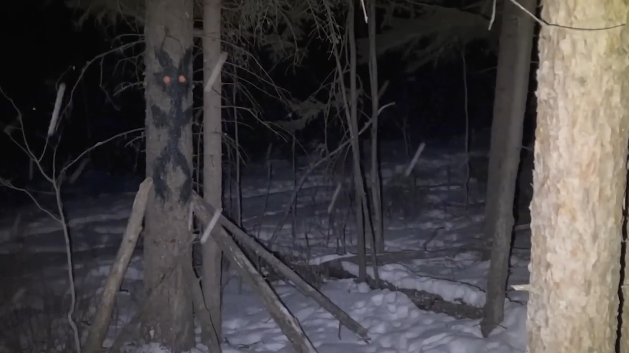 Warum du NIEMALS alleine im Wald campen solltest...