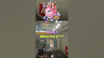 ??? why did he do this #streamer #livestream #vtuber #stream #twitch #cs2 #cs #counterstrike2