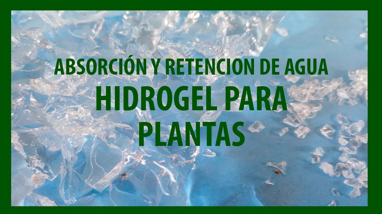 Hidrogel para Plantas. Retenedor de Agua.