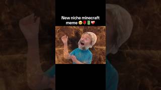 New Niche Minecraft Meme