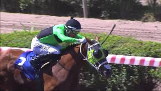 Vidéo de la course PMU PREMIO SERGIO LIVINGSTONE POHLHAMMER