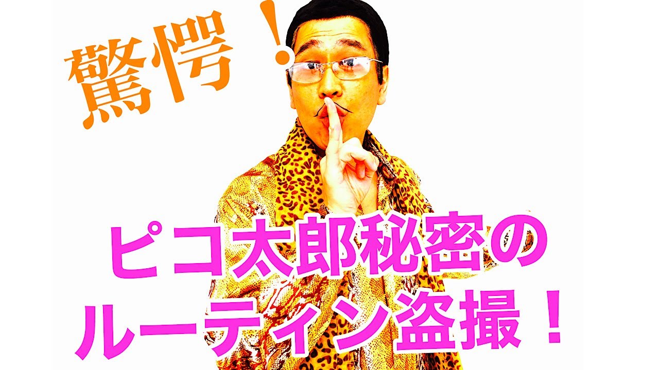 ピコ太郎の動画 画像 動画検索 マイルドサイト