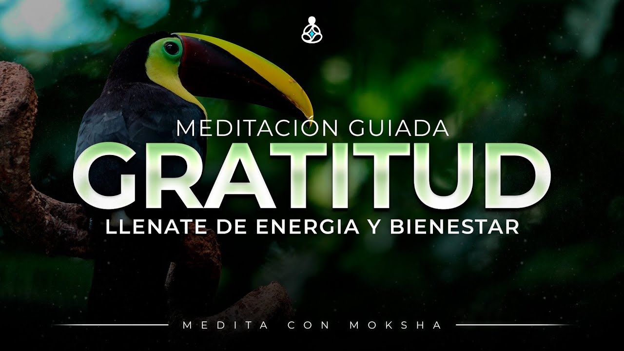 MEDITACIÓN DE GRATITUD | El poder de agradecer - YouTube