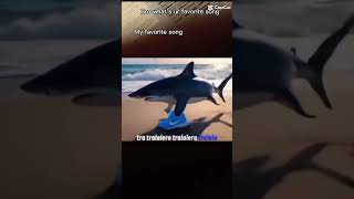 I Will Comment On Every Video That Uses This Sound