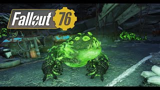 FALLOUT 76 Anglers, Snallygasters, and Radtoads Kill