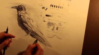 Drawing with Shape and Form - Useful Drawing Basics 6