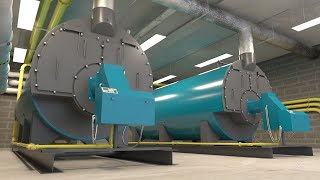Hot Water Boilers