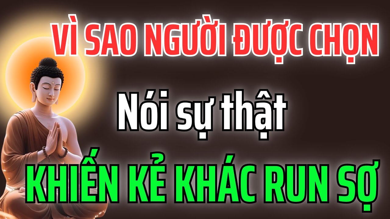Người Được Chọn Nói Sự Thật: Vì Sao Ai Cũng Vừa Sợ Vừa Kính?