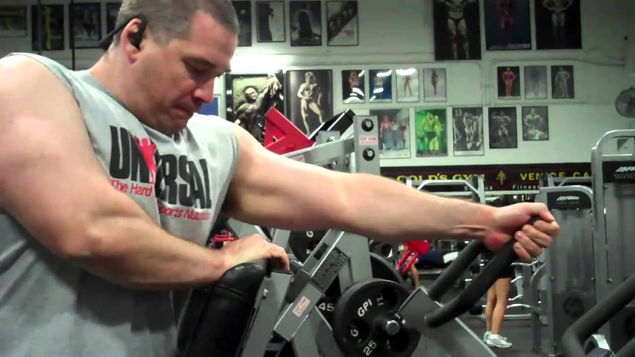 pma Animal Road Trip