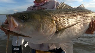 Big Striper on a jigging spoon! Flutter spoon Stripers.