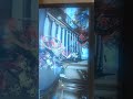 How #blindjustice really works on #Warframe 😐😑 #Shorts #bug