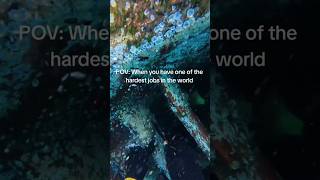🛳️💥 Years of barnacle DESTROYED #Satisfying #CleanShip #BarnacleRemoval #shiplife #OddlySatisfying