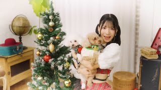 【2026】カラオケで歌おう！邦楽女性アーティストのクリスマスソングまとめ