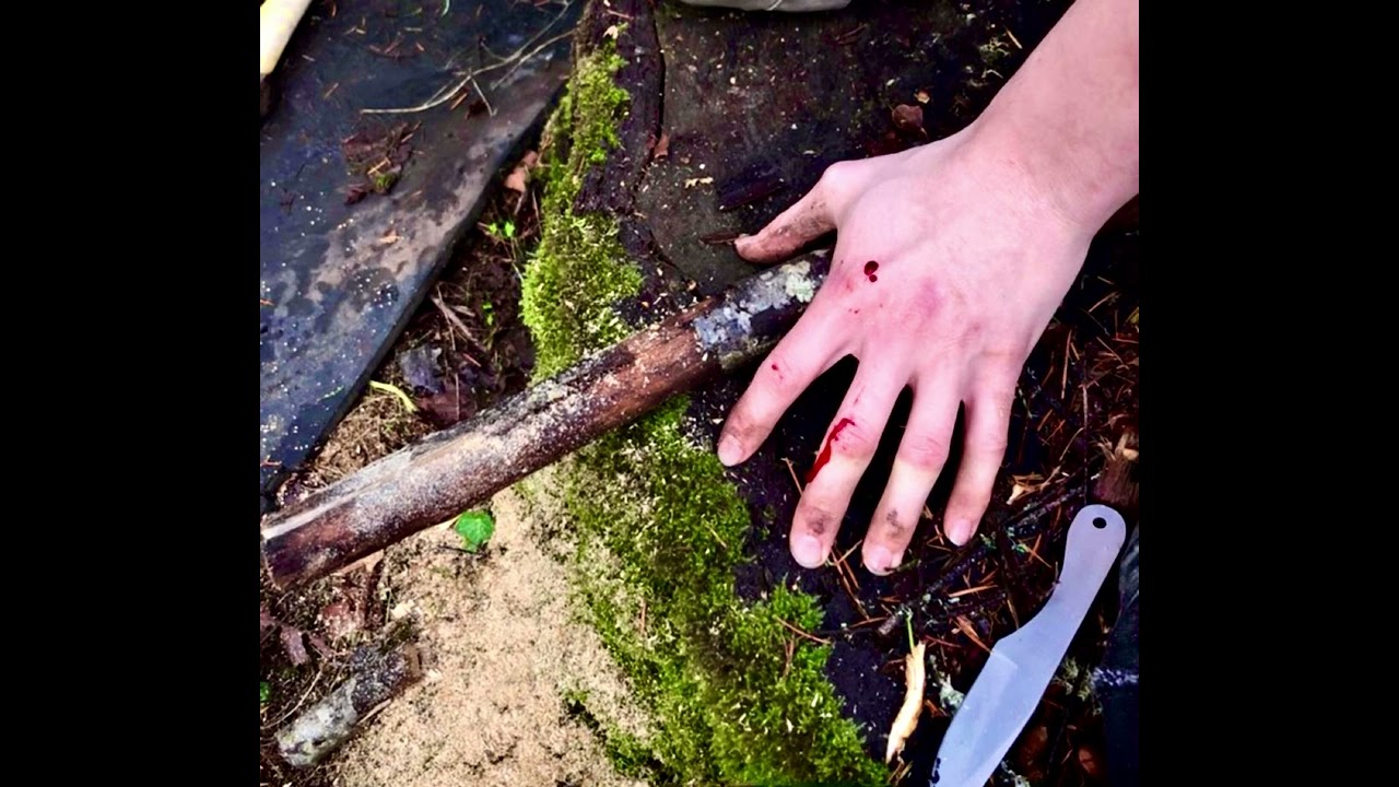 Gentle Acts of Violence (original song)