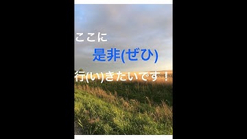 Frequently asked - vocabulary n5 Japanese "ぜひ" Do you use it correctly ?!