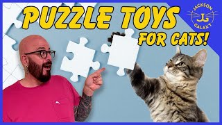 Puzzle Toys for Cats: Everything You Need to Know! by Jackson Galaxy 128,451 views 8 months ago 17 minutes