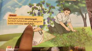 Tahun 4 Sn Gerak Balas Tumbuhan Terhadap Rangsangan