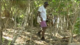 Goat Island Jamaica