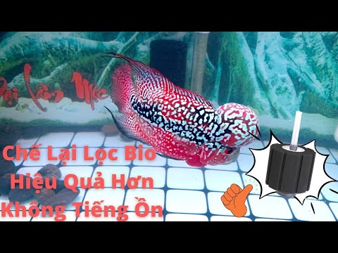 Video Cải Tạo Lọc Bio Hiệu Quả,Đơn Giản,Không Tiếng Ồn Cho... - youtube