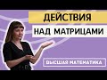 ДЕЙСТВИЯ НАД МАТРИЦАМИ. ВЫСШАЯ МАТЕМАТИКА. Разбор теории и конкретных примеров за 20 минут